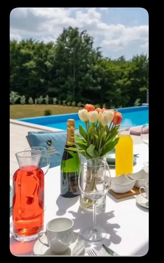 Villa Heaven Green Pazin 0*,